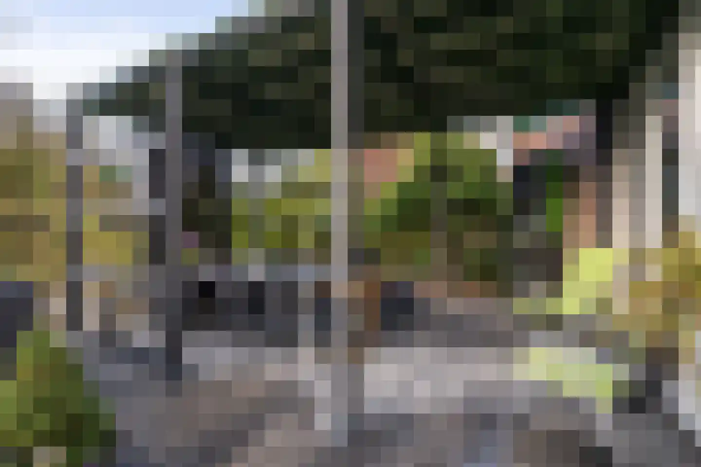 Steigerdijk 11 90 Ooltgensplaat thumbnail 26