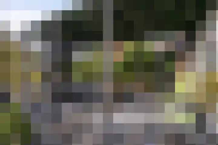 Steigerdijk 11 90 Ooltgensplaat thumbnail 26