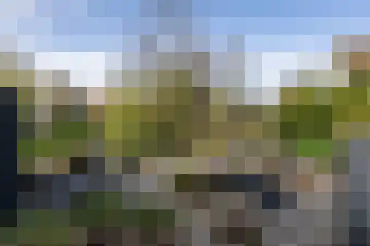 Steigerdijk 11 90 Ooltgensplaat thumbnail 30