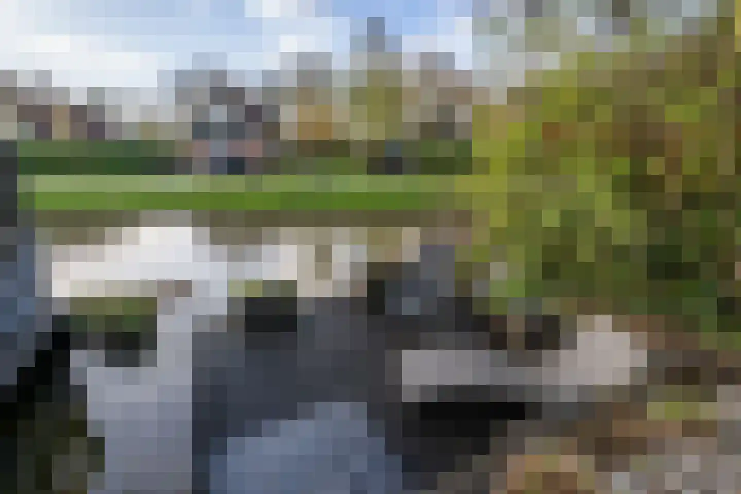 Steigerdijk 11 90 Ooltgensplaat thumbnail 31