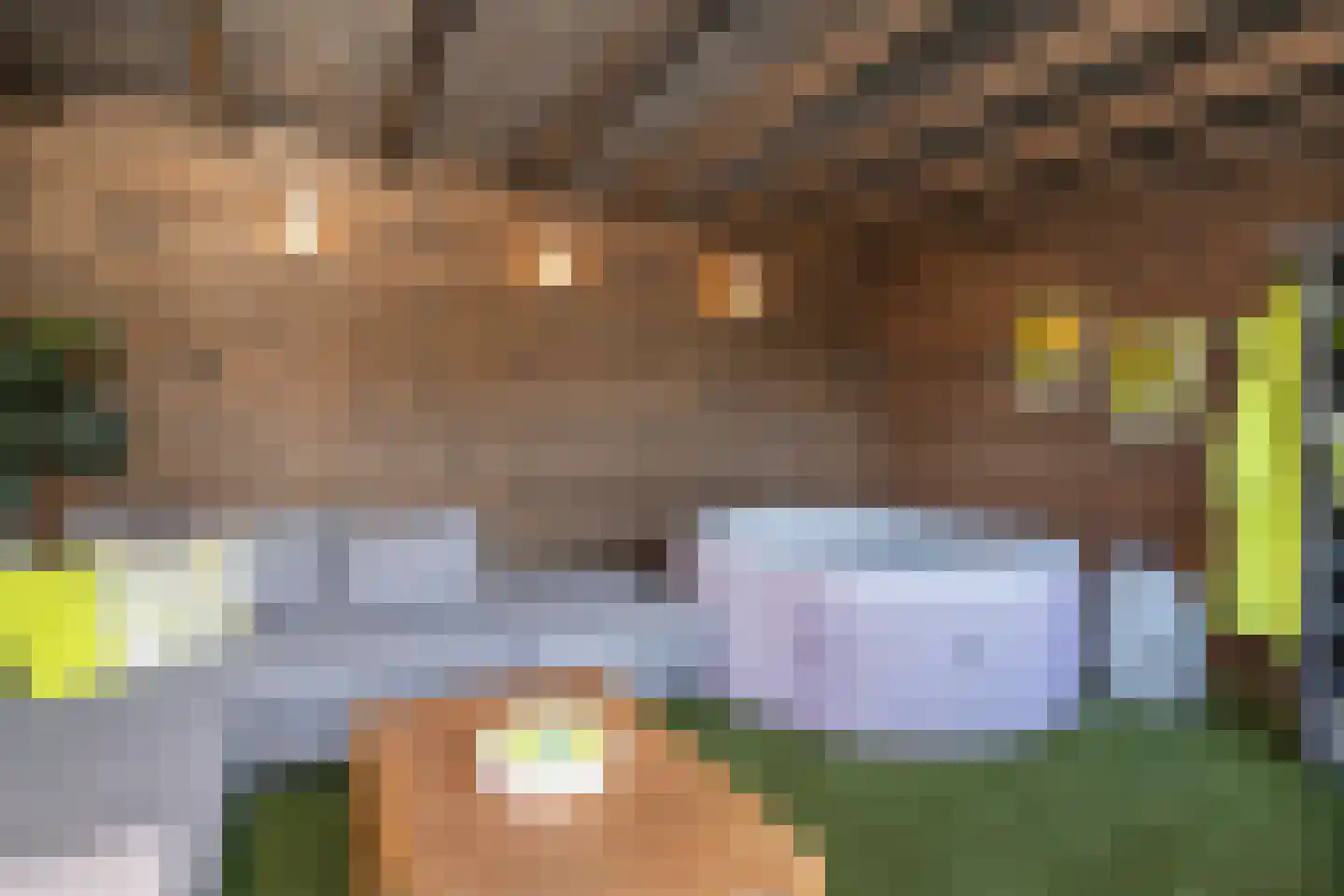 Steigerdijk 11 90 Ooltgensplaat thumbnail 36