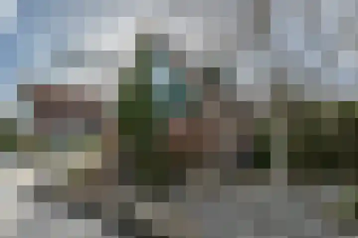 Steigerdijk 11 90 Ooltgensplaat thumbnail 40