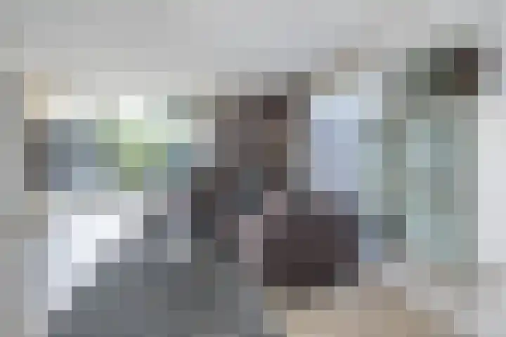 Steigerdijk 11 90 Ooltgensplaat thumbnail 9