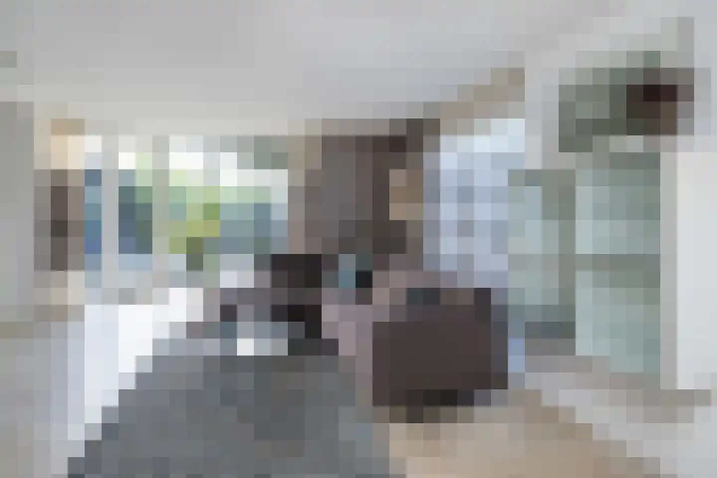 Steigerdijk 11 90 Ooltgensplaat thumbnail 9