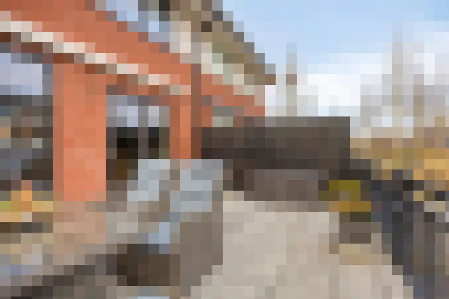 Steigerdijk 116 Heerhugowaard thumbnail 49