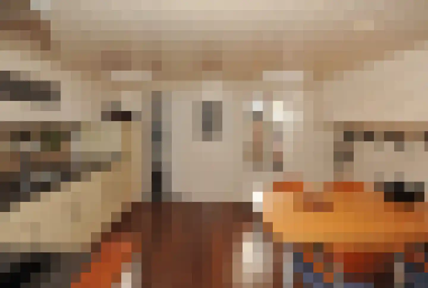 Steigerdijk 12 Ooltgensplaat thumbnail 11