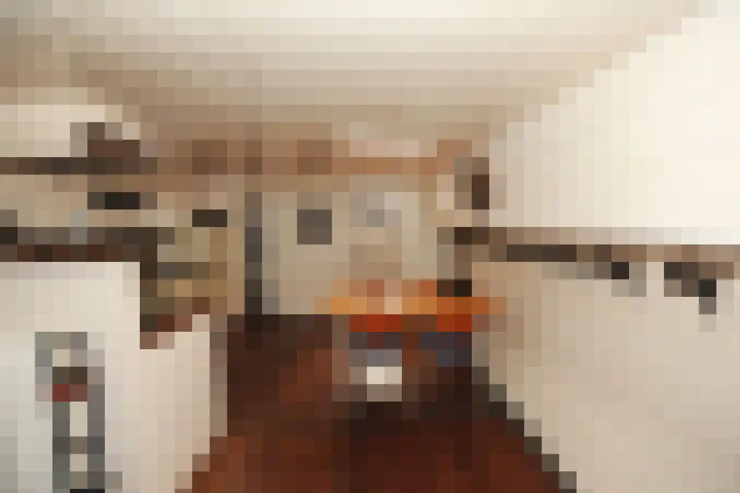 Steigerdijk 12 Ooltgensplaat thumbnail 12