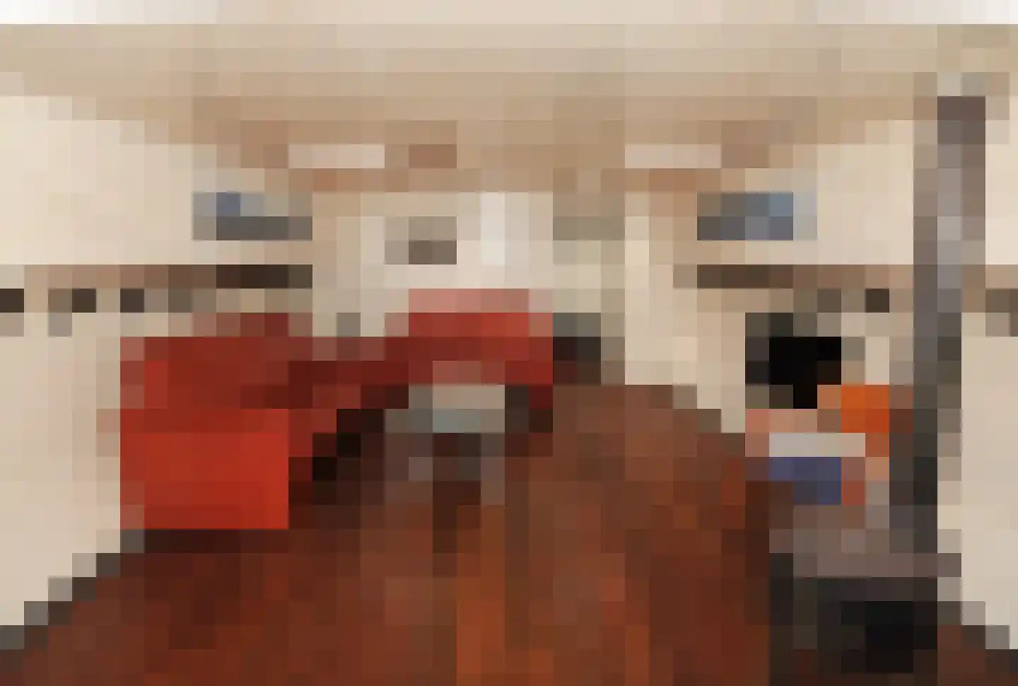 Steigerdijk 12 Ooltgensplaat thumbnail 17