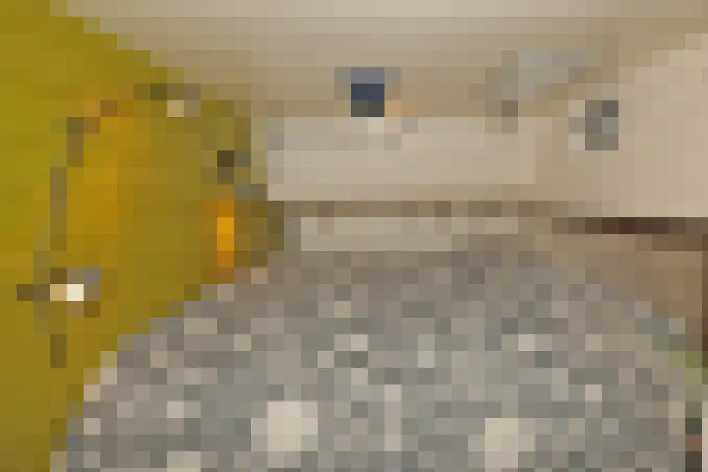 Steigerdijk 12 Ooltgensplaat thumbnail 19