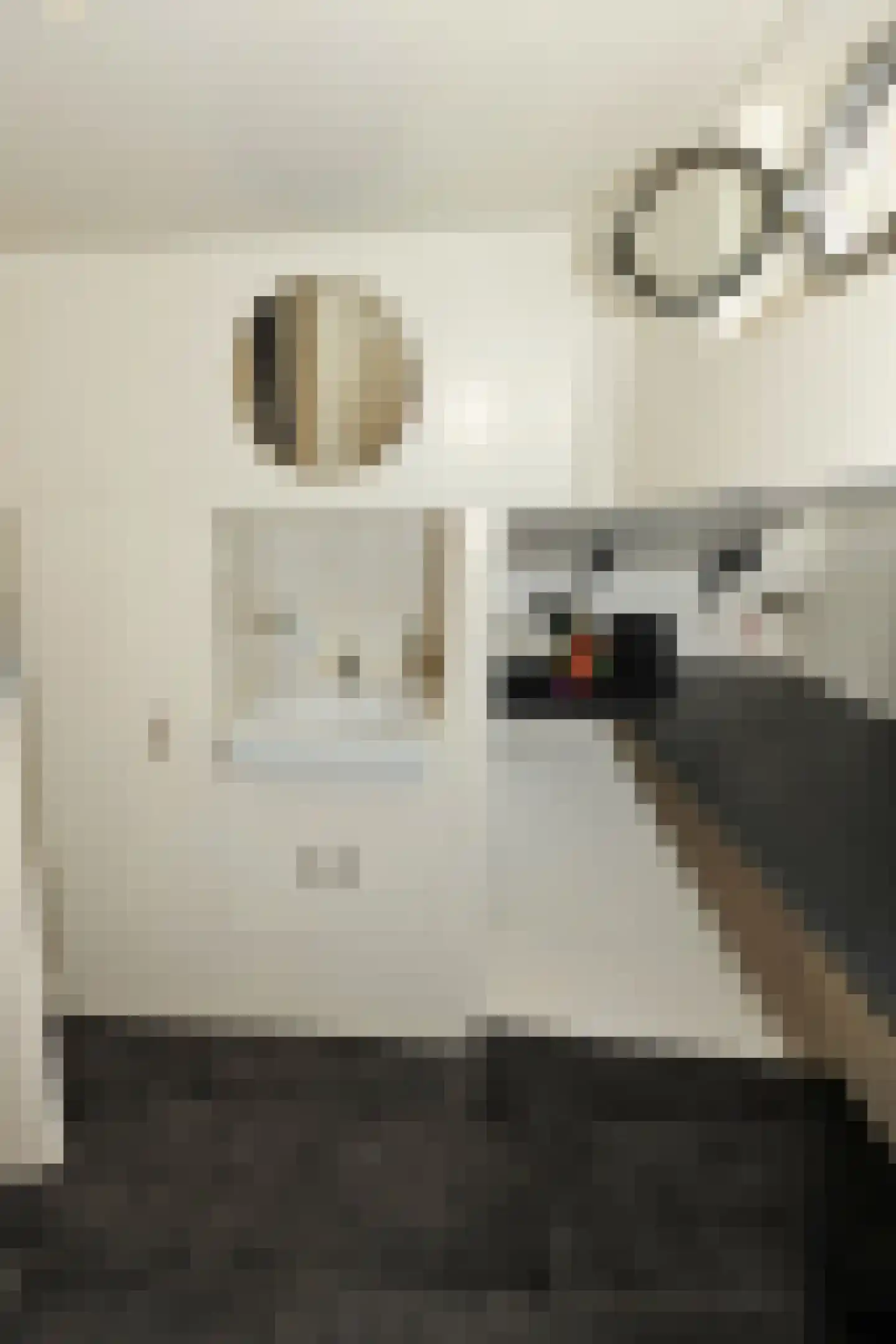 Steigerdijk 12 Ooltgensplaat thumbnail 21