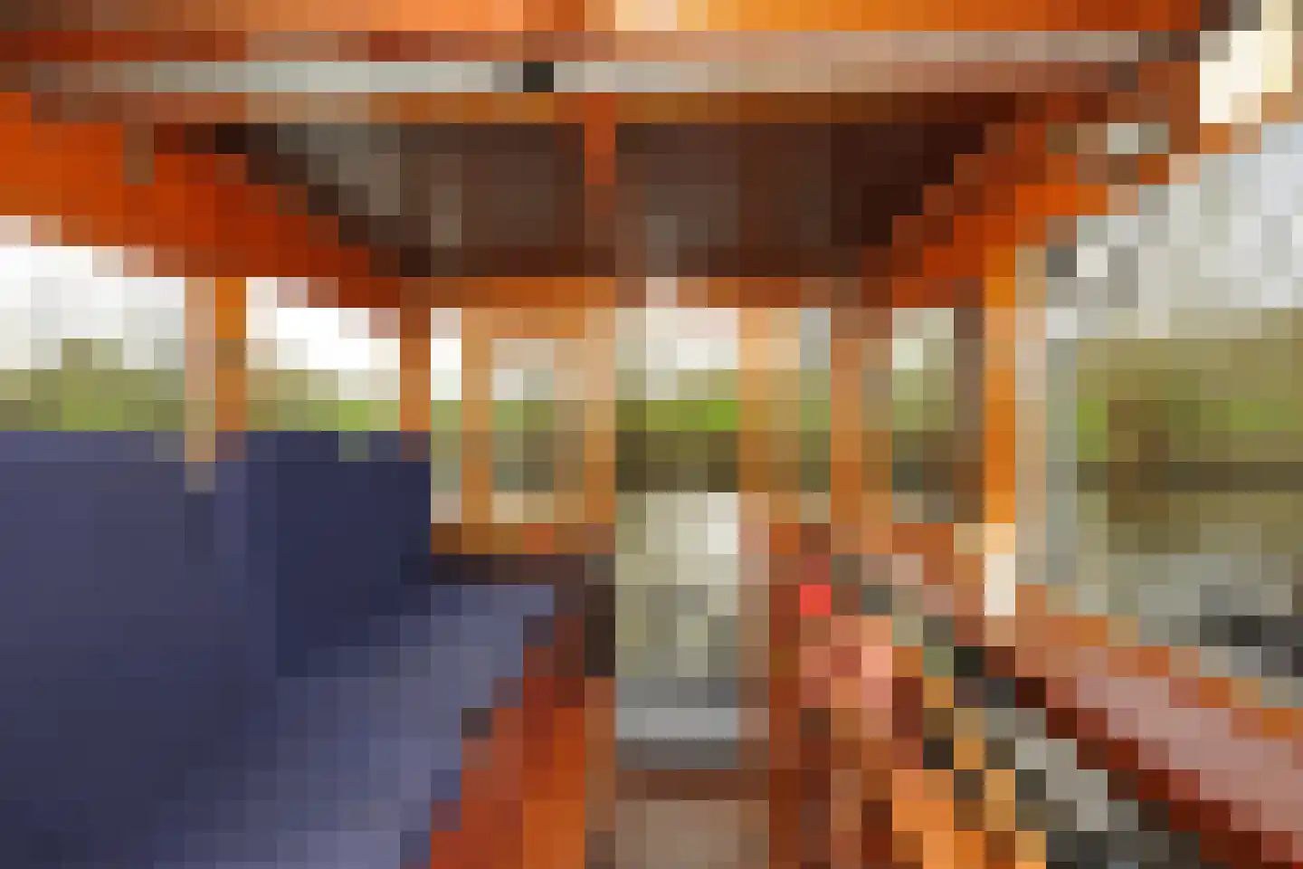 Steigerdijk 12 Ooltgensplaat thumbnail 23