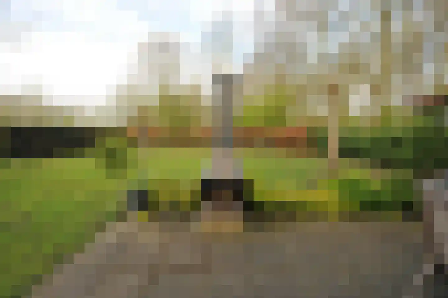Steigerdijk 12 Ooltgensplaat thumbnail 38