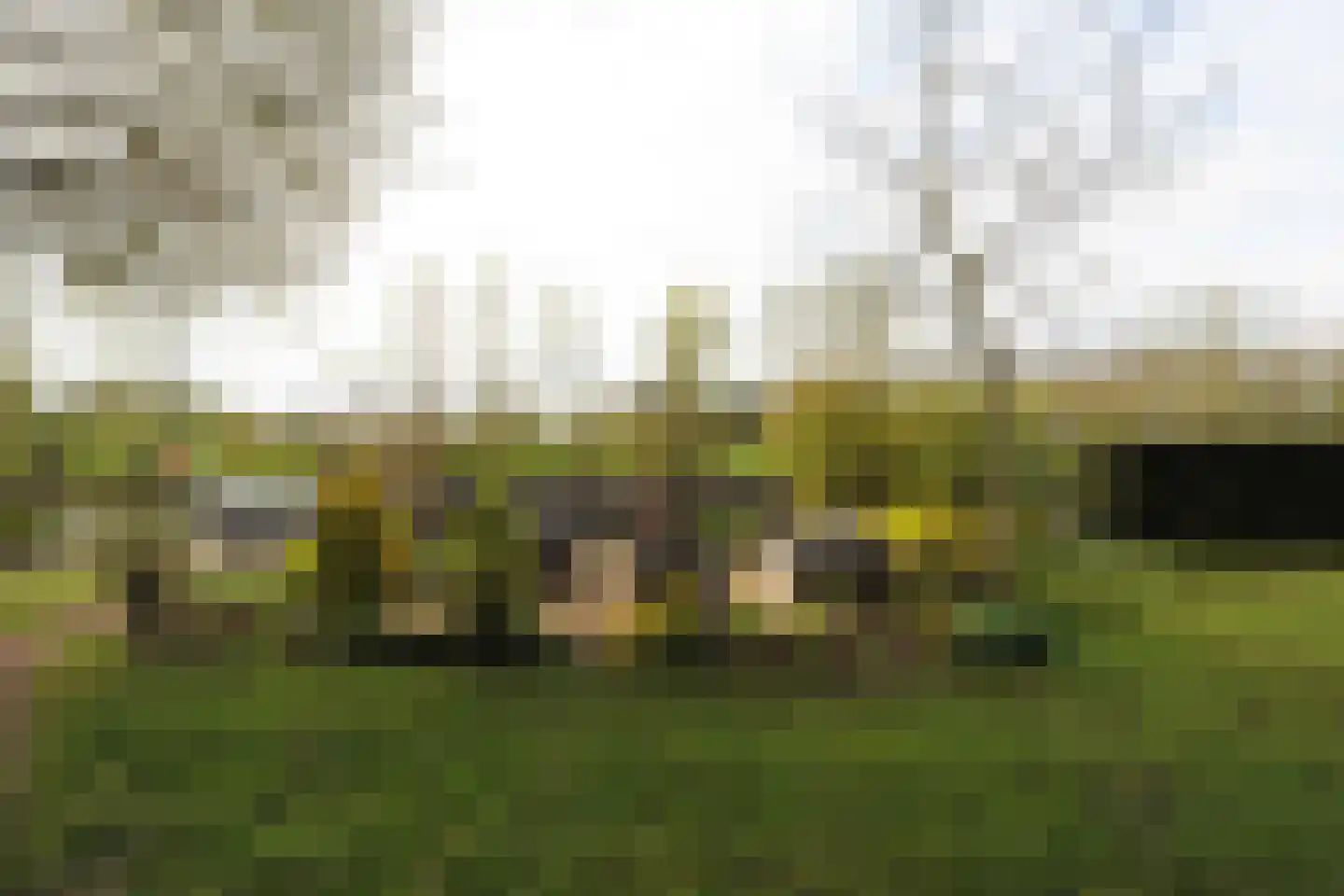 Steigerdijk 12 Ooltgensplaat thumbnail 39