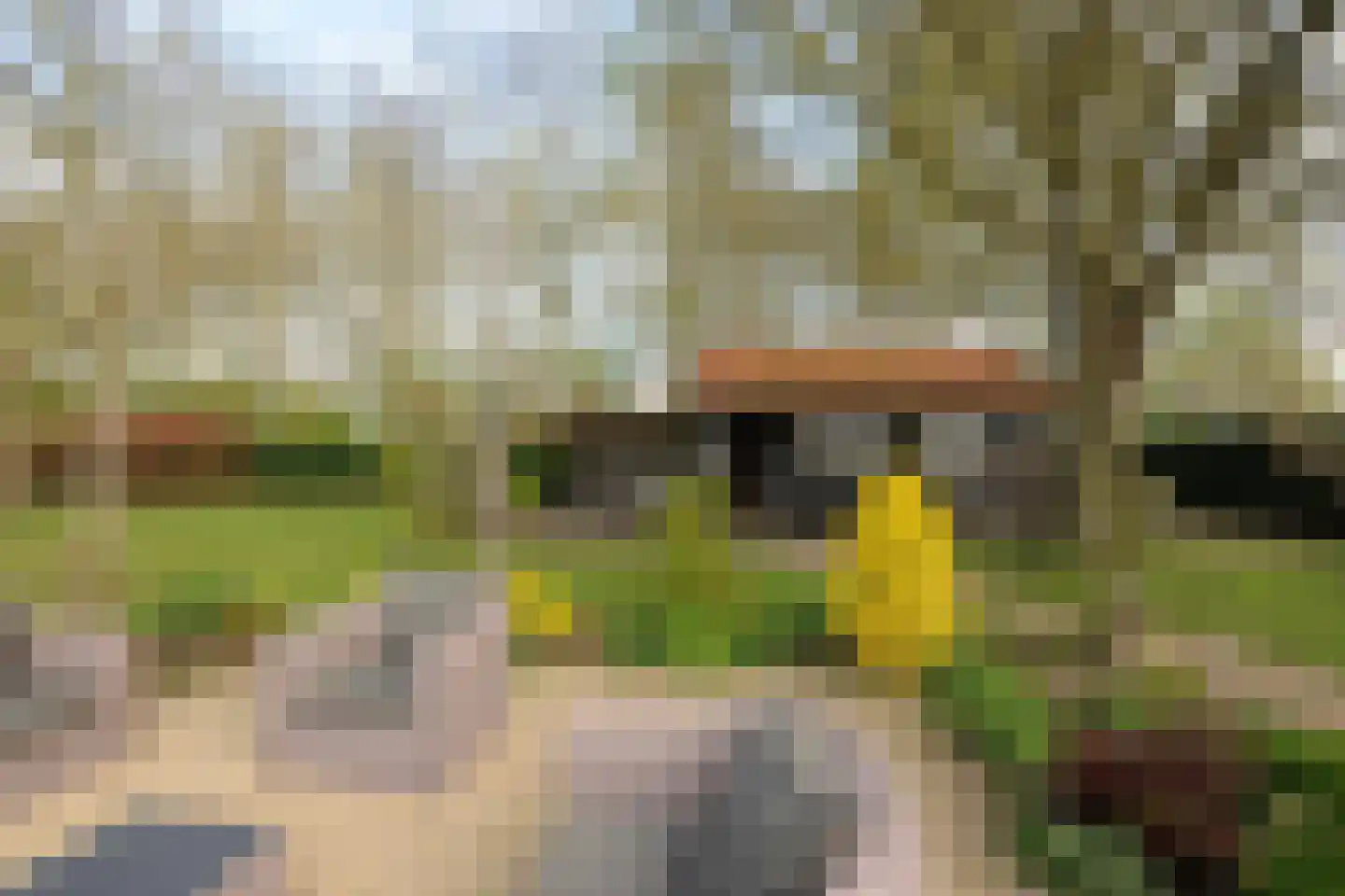 Steigerdijk 12 Ooltgensplaat thumbnail 41