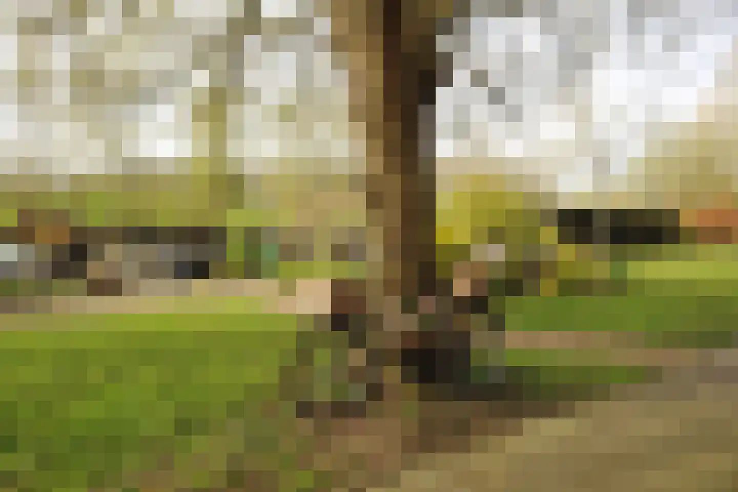 Steigerdijk 12 Ooltgensplaat thumbnail 42