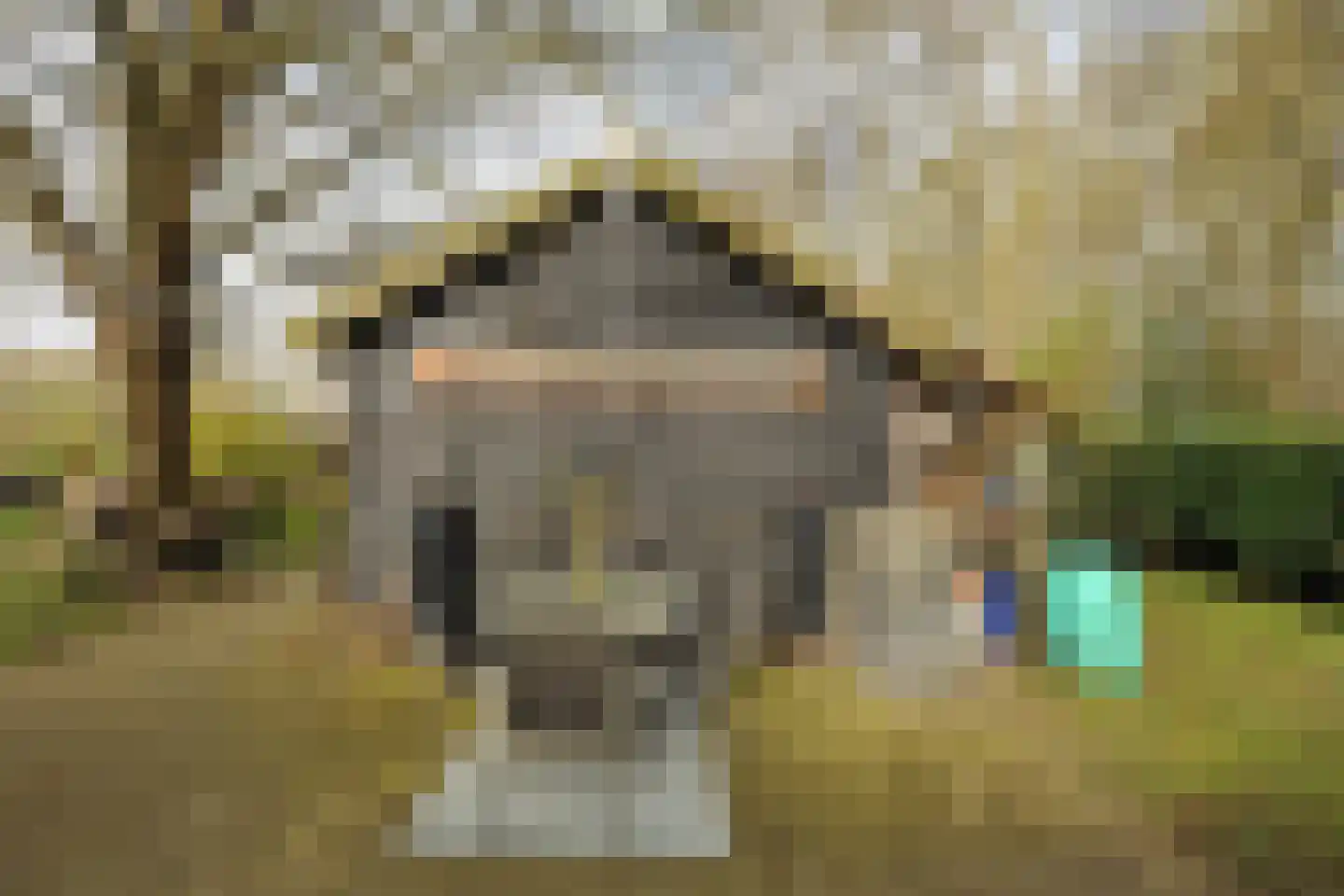 Steigerdijk 12 Ooltgensplaat thumbnail 43