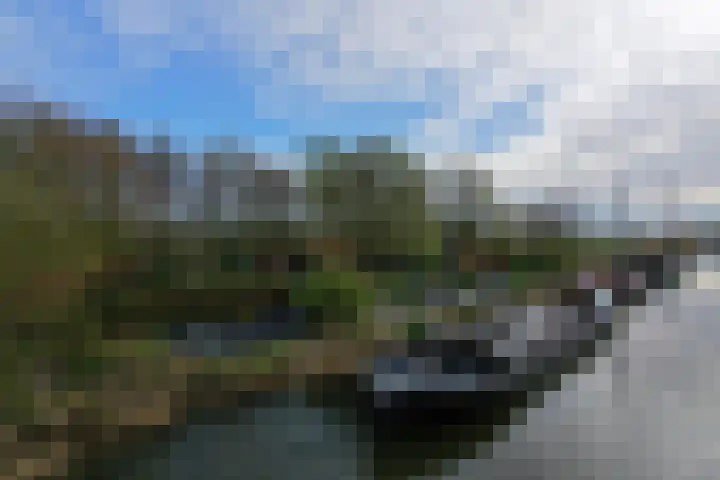 Steigerdijk 12 Ooltgensplaat thumbnail 5