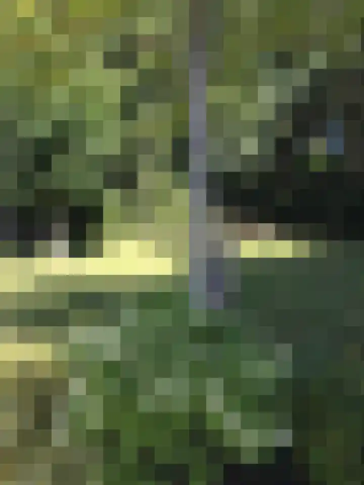 Steigerdijk 12 Ooltgensplaat thumbnail 50