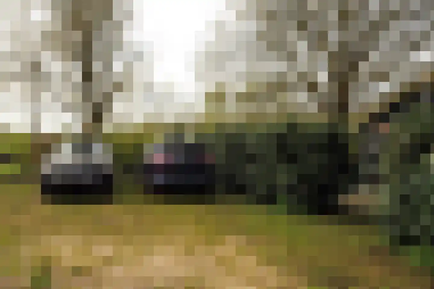 Steigerdijk 12 Ooltgensplaat thumbnail 53
