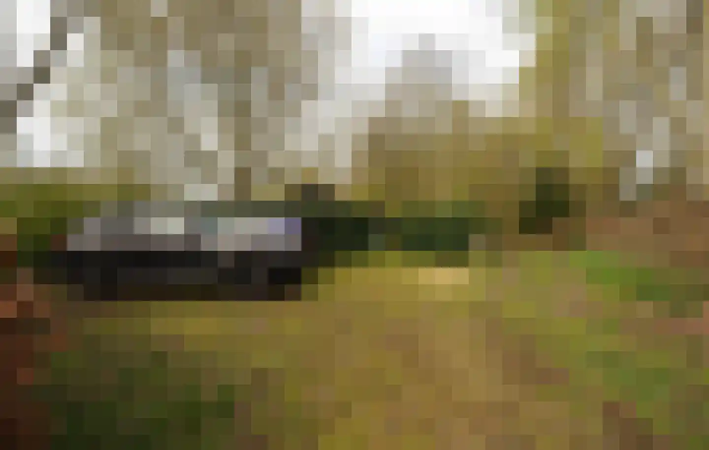 Steigerdijk 12 Ooltgensplaat thumbnail 54
