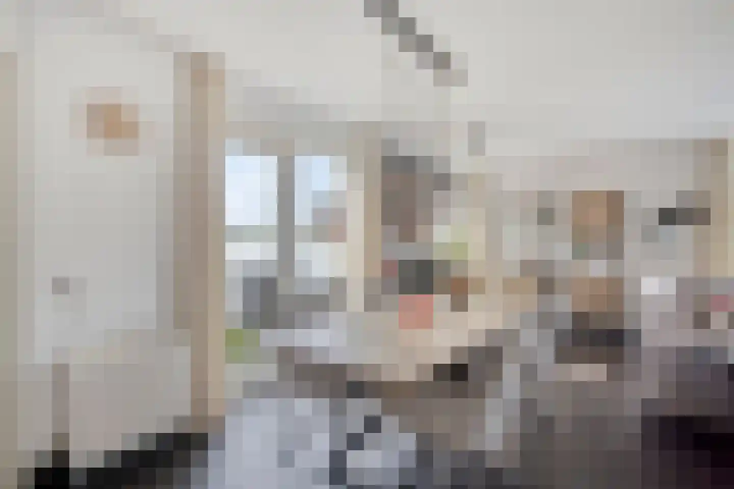 Steigerdijk 121 Heerhugowaard thumbnail 17