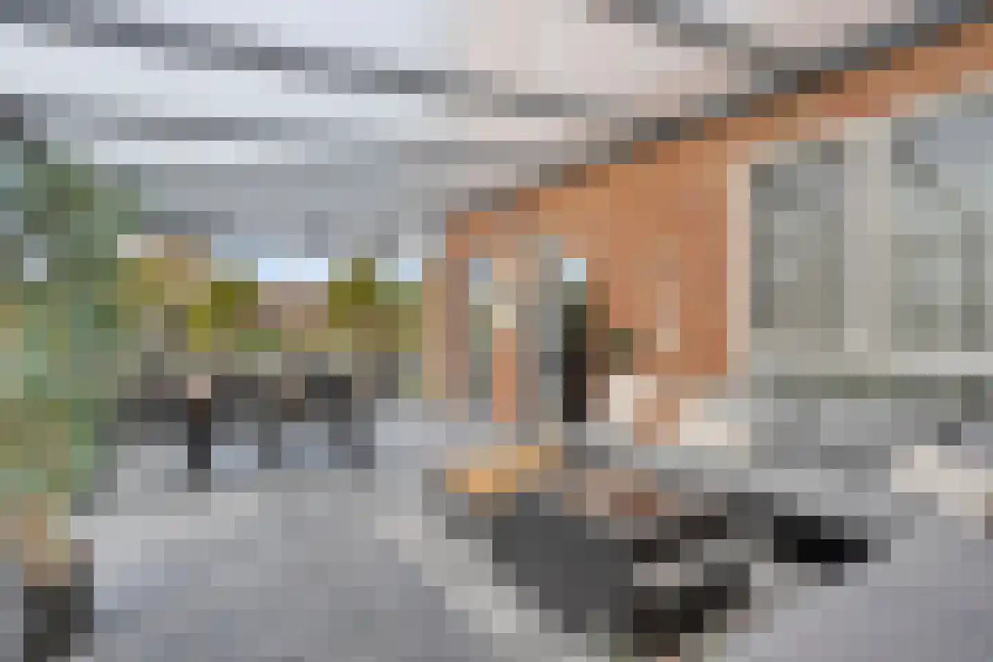 Steigerdijk 121 Heerhugowaard thumbnail 26
