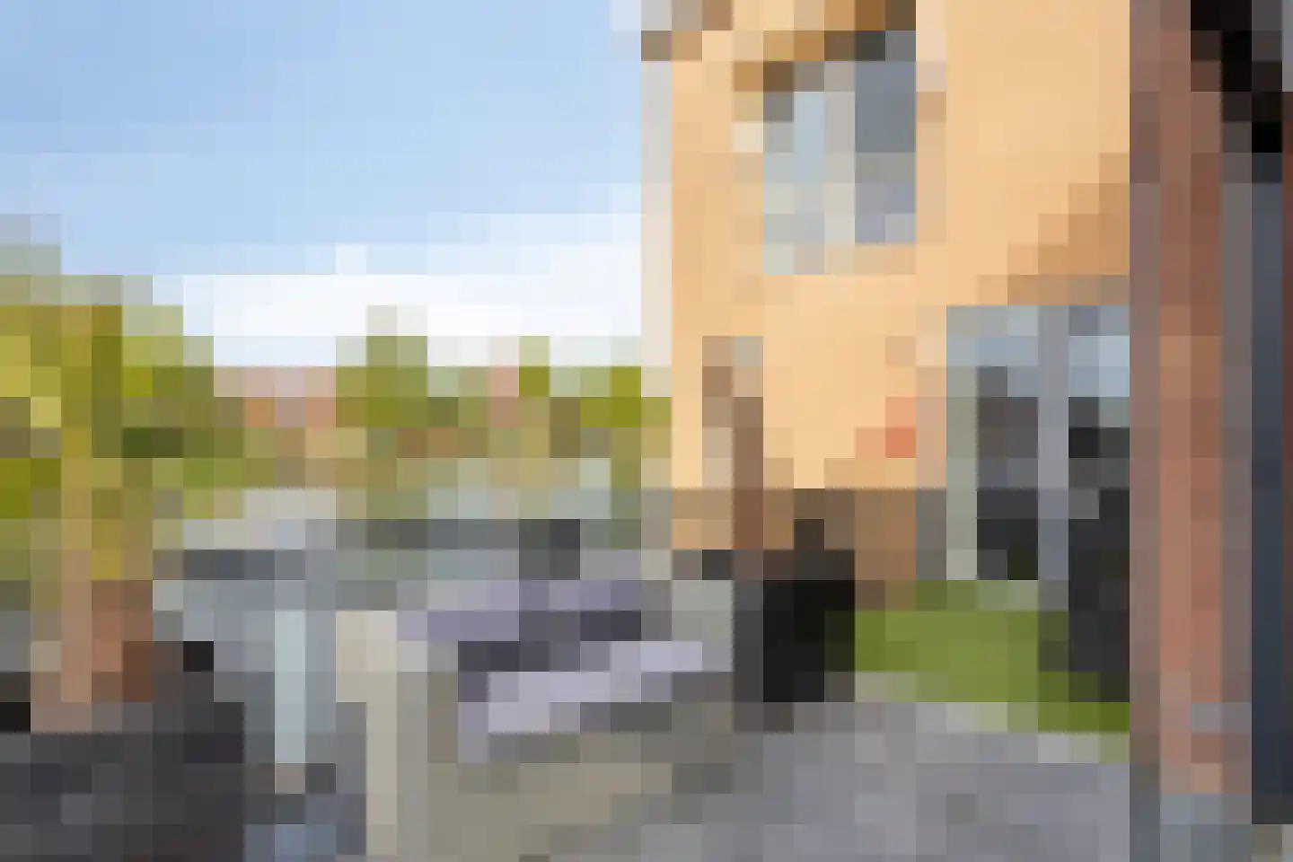 Steigerdijk 121 Heerhugowaard thumbnail 28