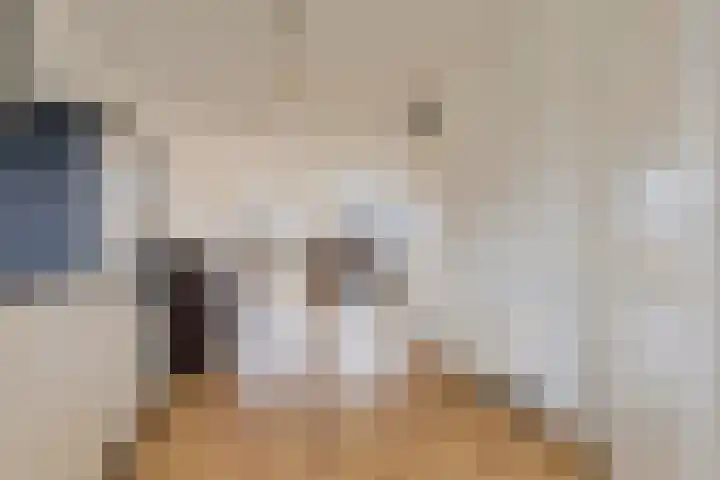Steigerdijk 3 Heerhugowaard thumbnail 15