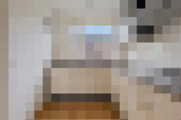 Steigerdijk 3 Heerhugowaard thumbnail 17