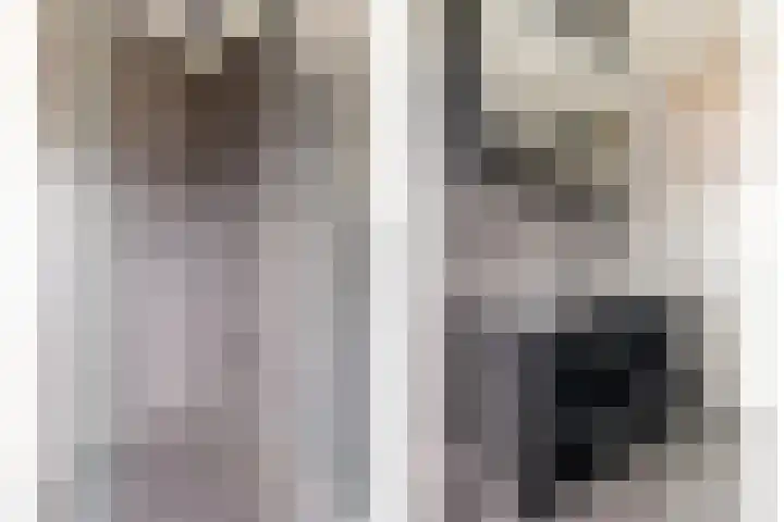 Steigerdijk 3 Heerhugowaard thumbnail 24