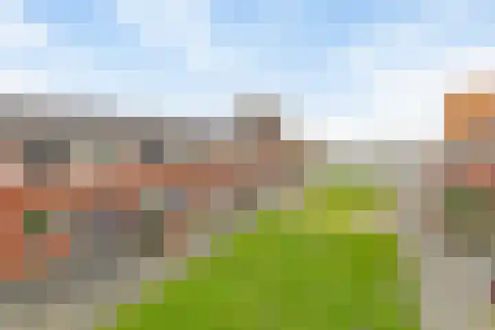 Steigerdijk 3 Heerhugowaard thumbnail 9