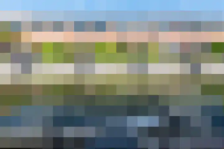 Steigerdijk 41 Heerhugowaard thumbnail 39