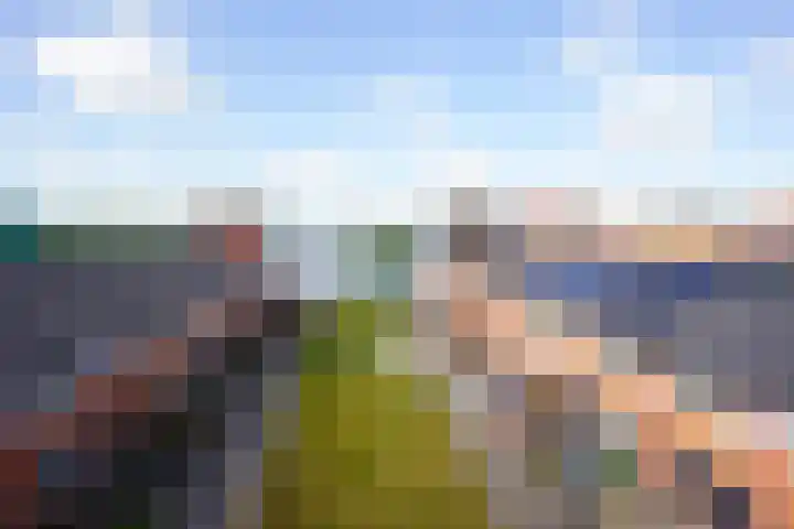 Steigerdijk 41 Heerhugowaard thumbnail 41