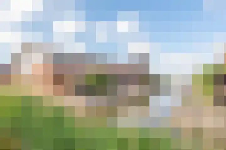 Steigerdijk 41 Heerhugowaard thumbnail 50