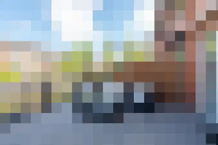Steigerdijk 41 Heerhugowaard thumbnail 6