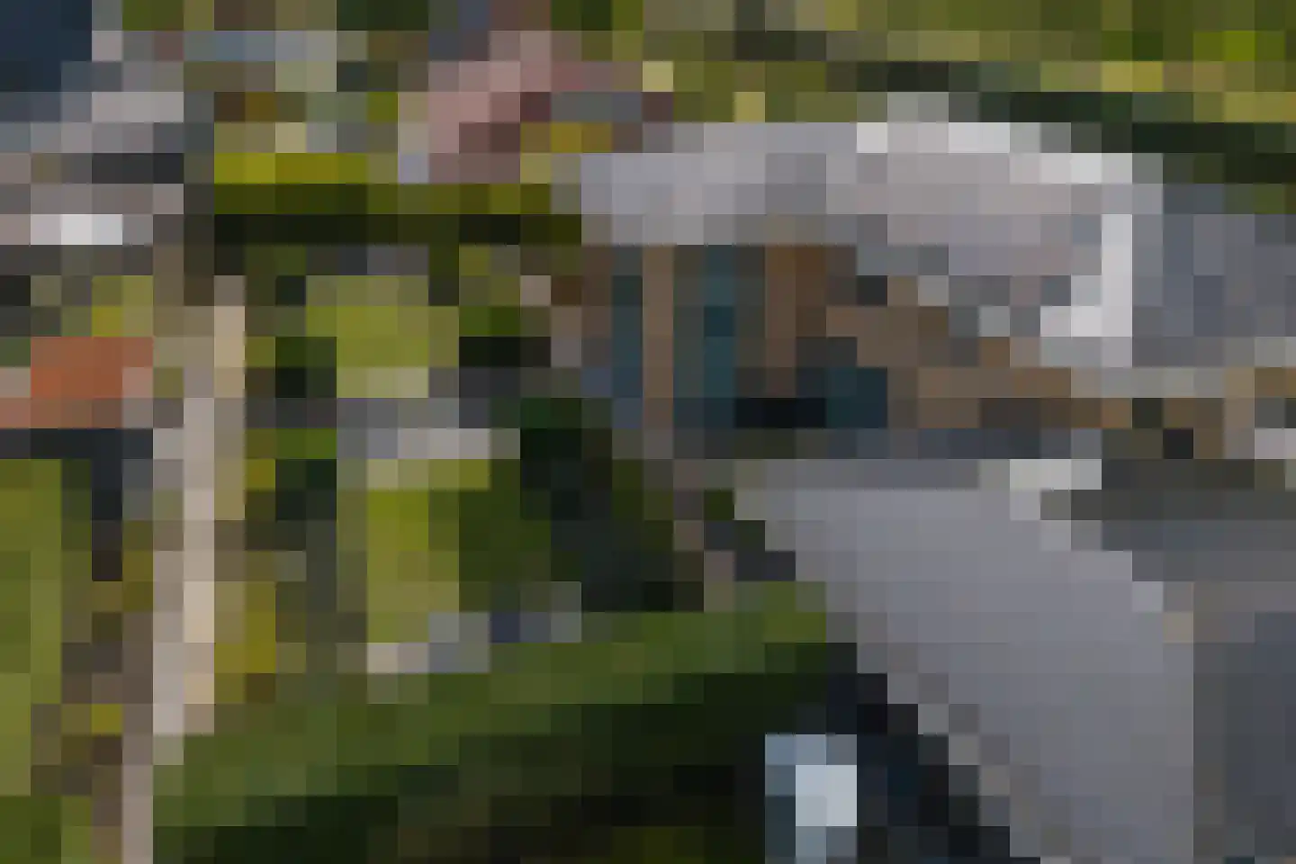 Steigerschuit 33 Breskens thumbnail 10