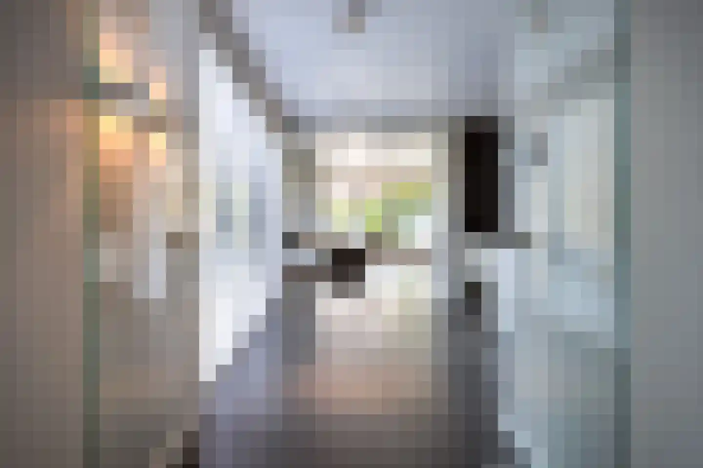Steigerschuit 33 Breskens thumbnail 14