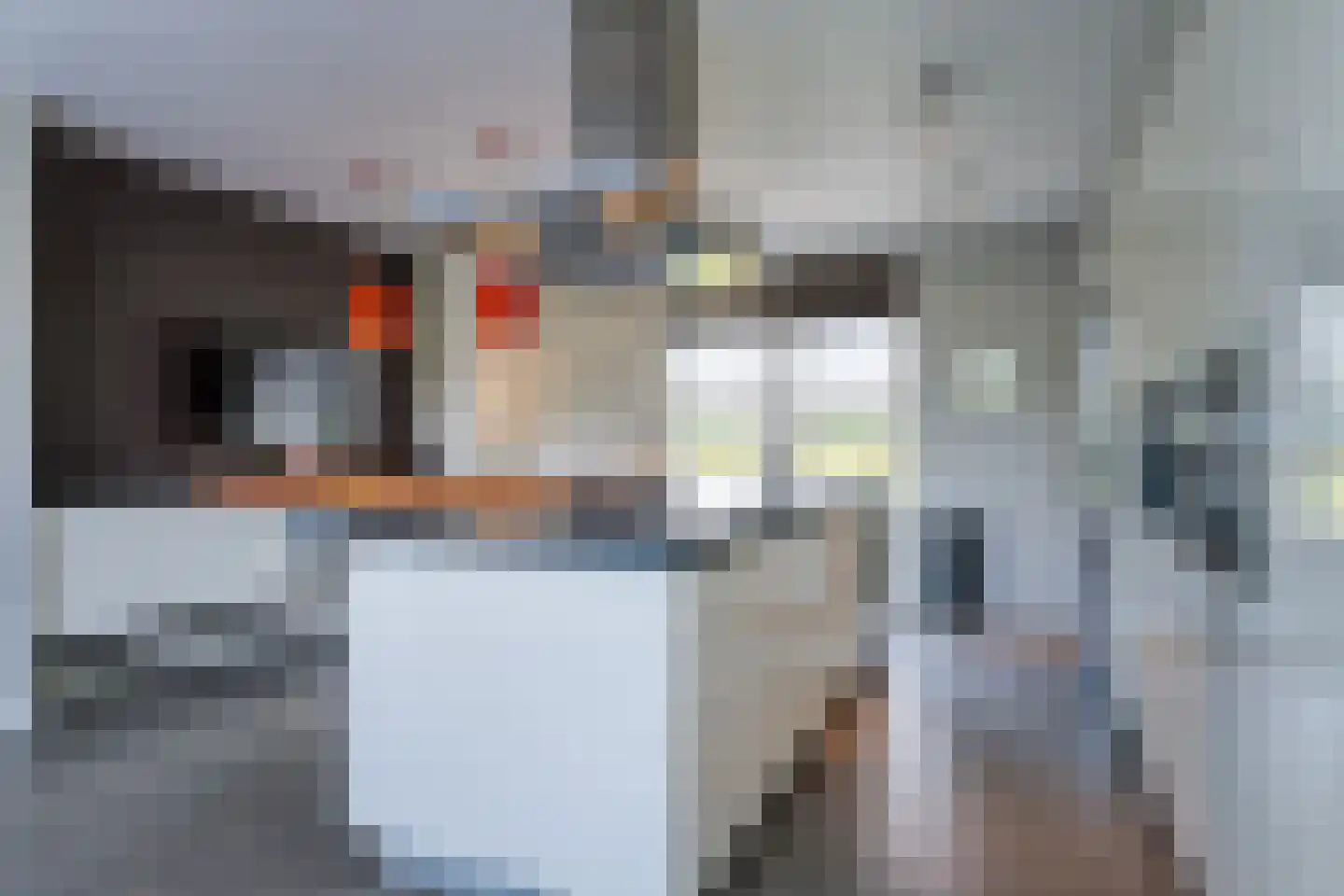 Steigerschuit 33 Breskens thumbnail 15