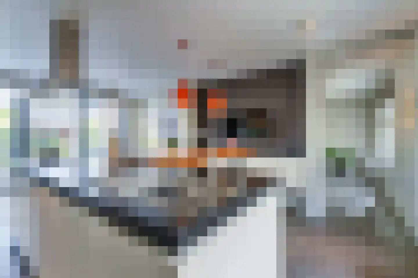 Steigerschuit 33 Breskens thumbnail 16