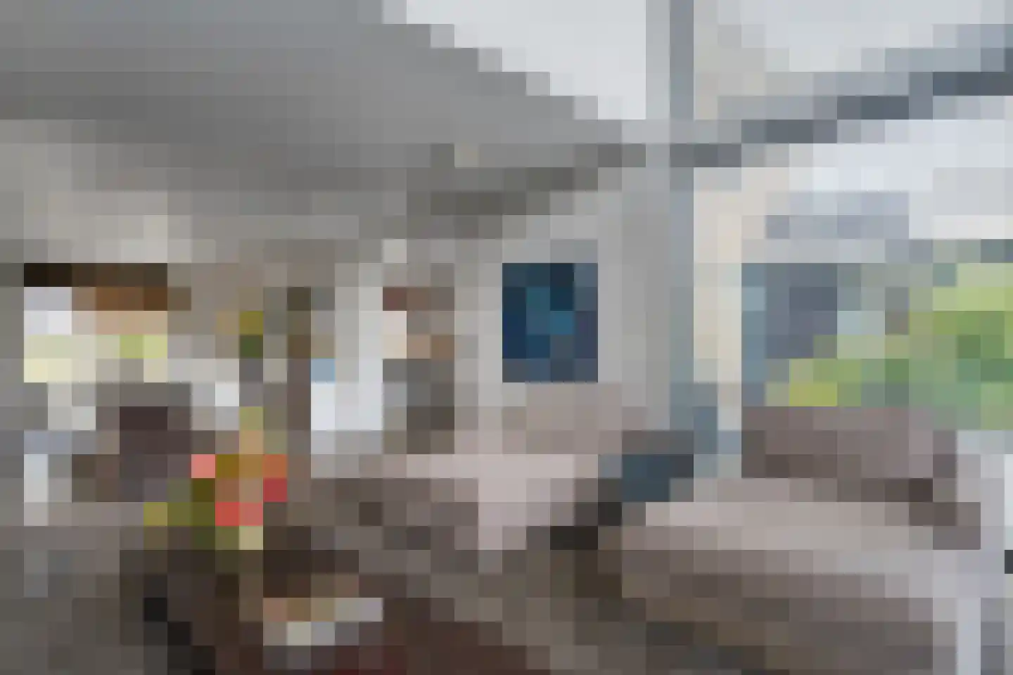 Steigerschuit 33 Breskens thumbnail 19