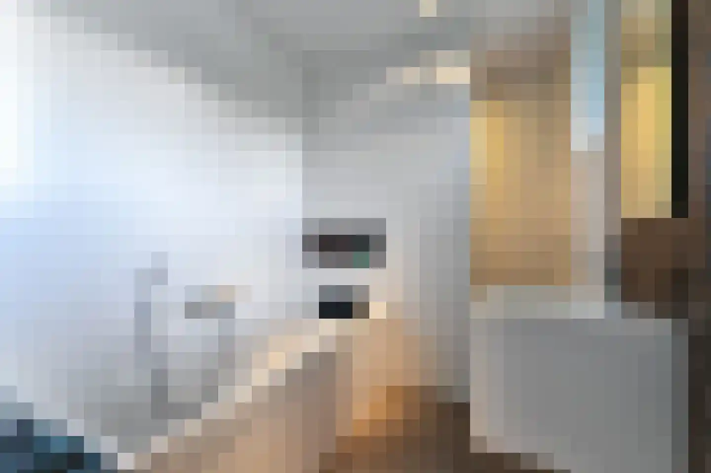 Steigerschuit 33 Breskens thumbnail 29