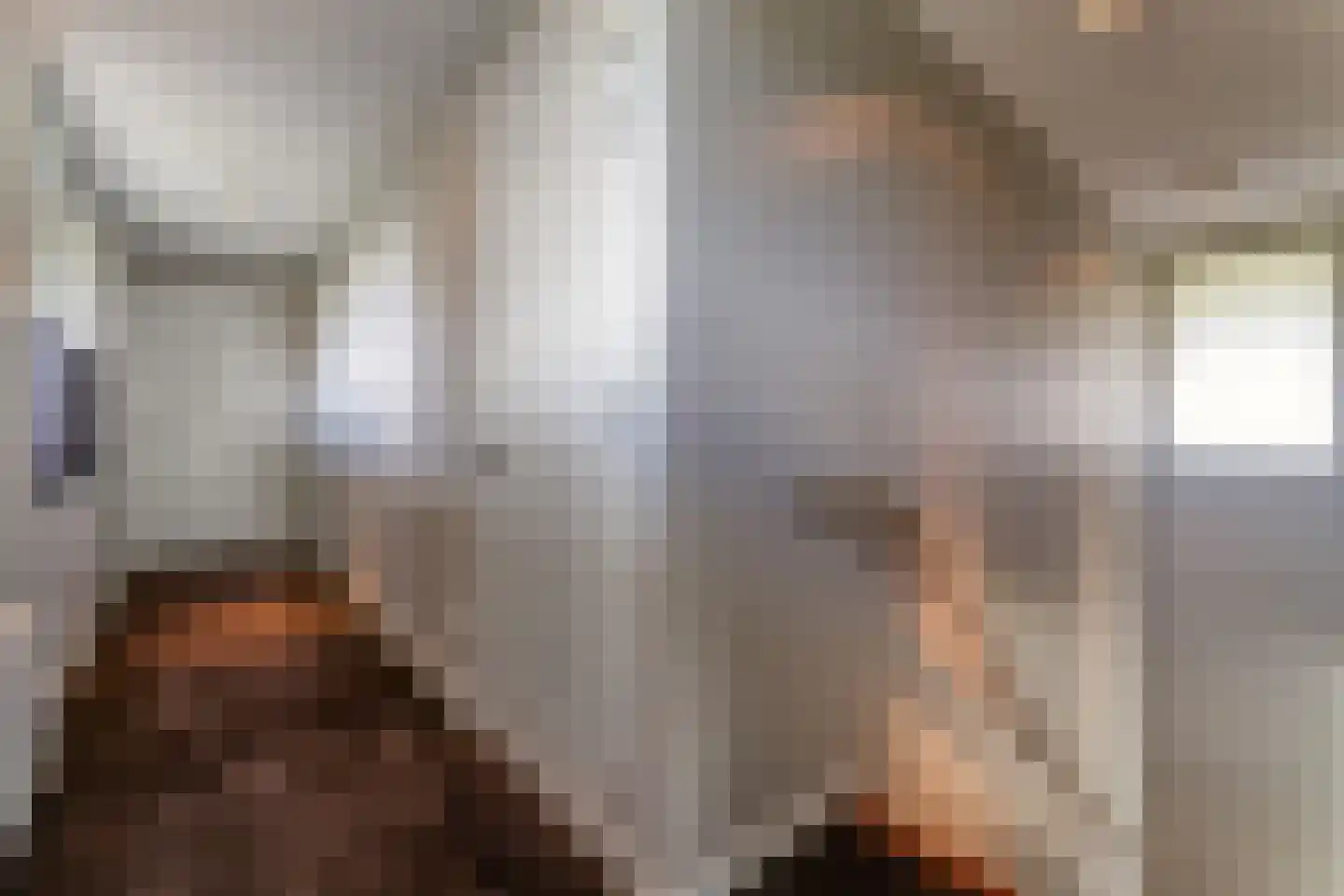 Steigerschuit 33 Breskens thumbnail 32