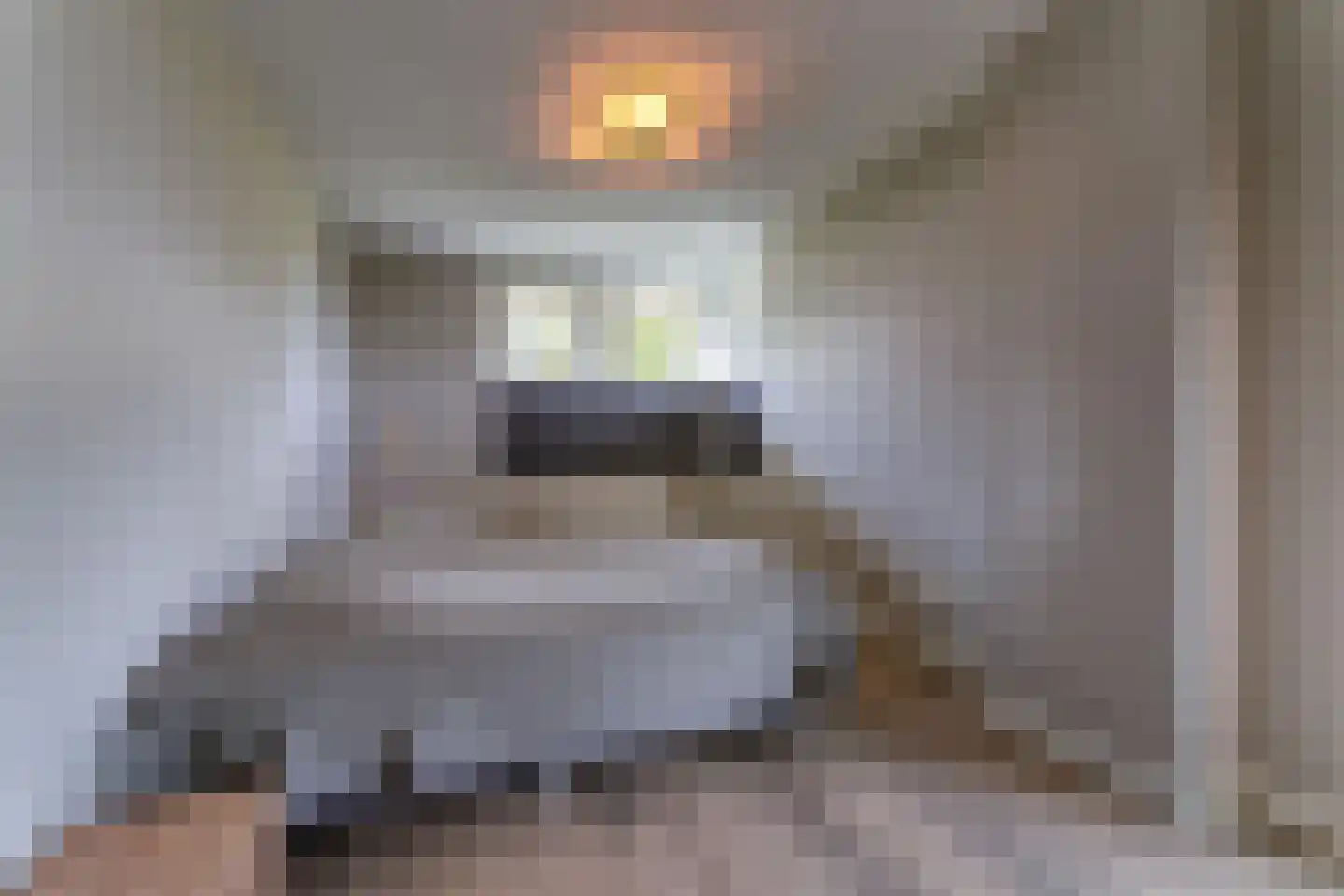Steigerschuit 33 Breskens thumbnail 33