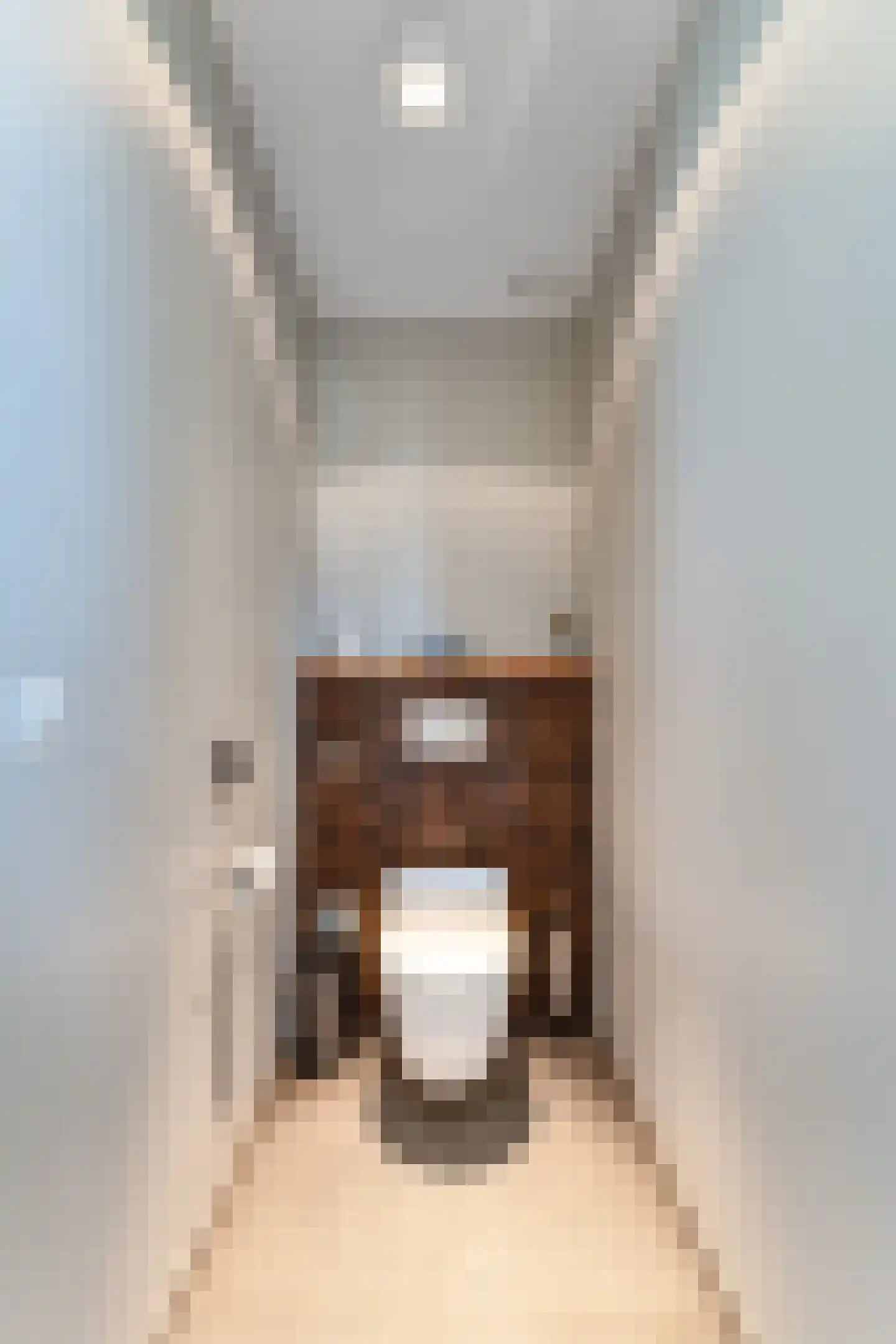 Steigerschuit 33 Breskens thumbnail 35