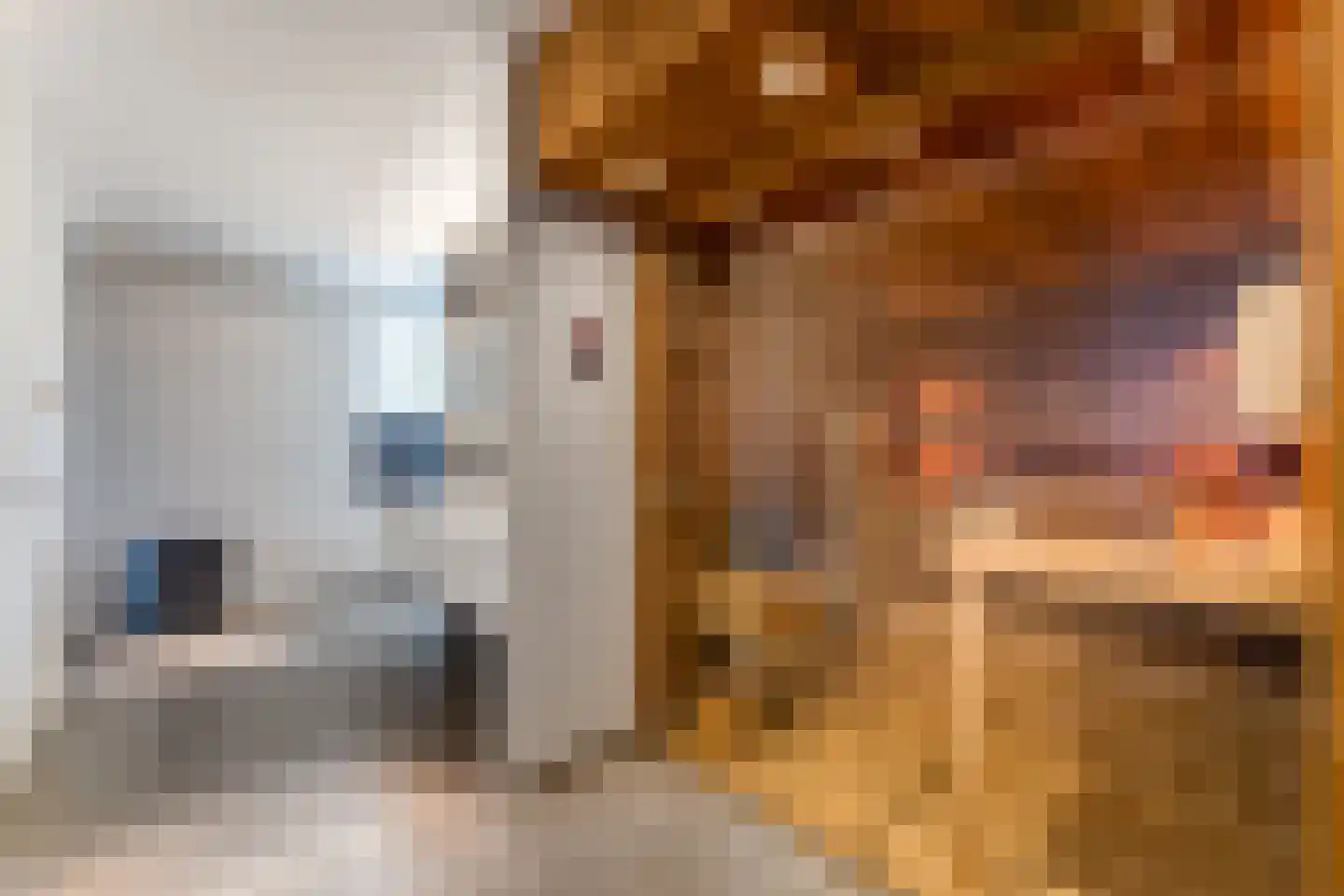 Steigerschuit 33 Breskens thumbnail 36