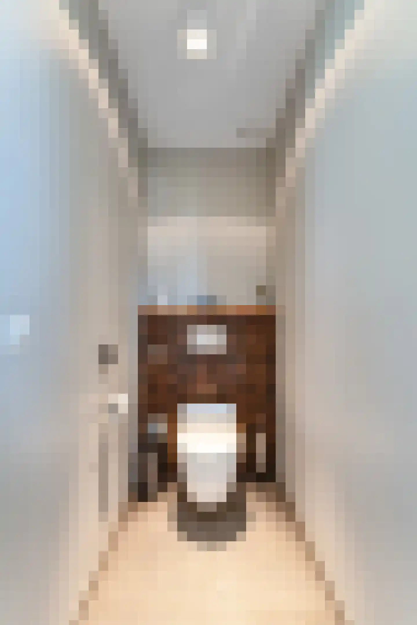 Steigerschuit 33 Breskens thumbnail 37