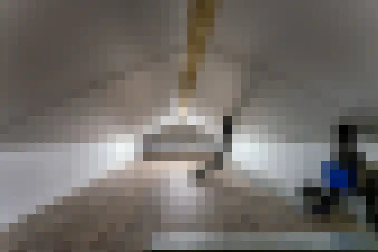 Steigerschuit 33 Breskens thumbnail 43