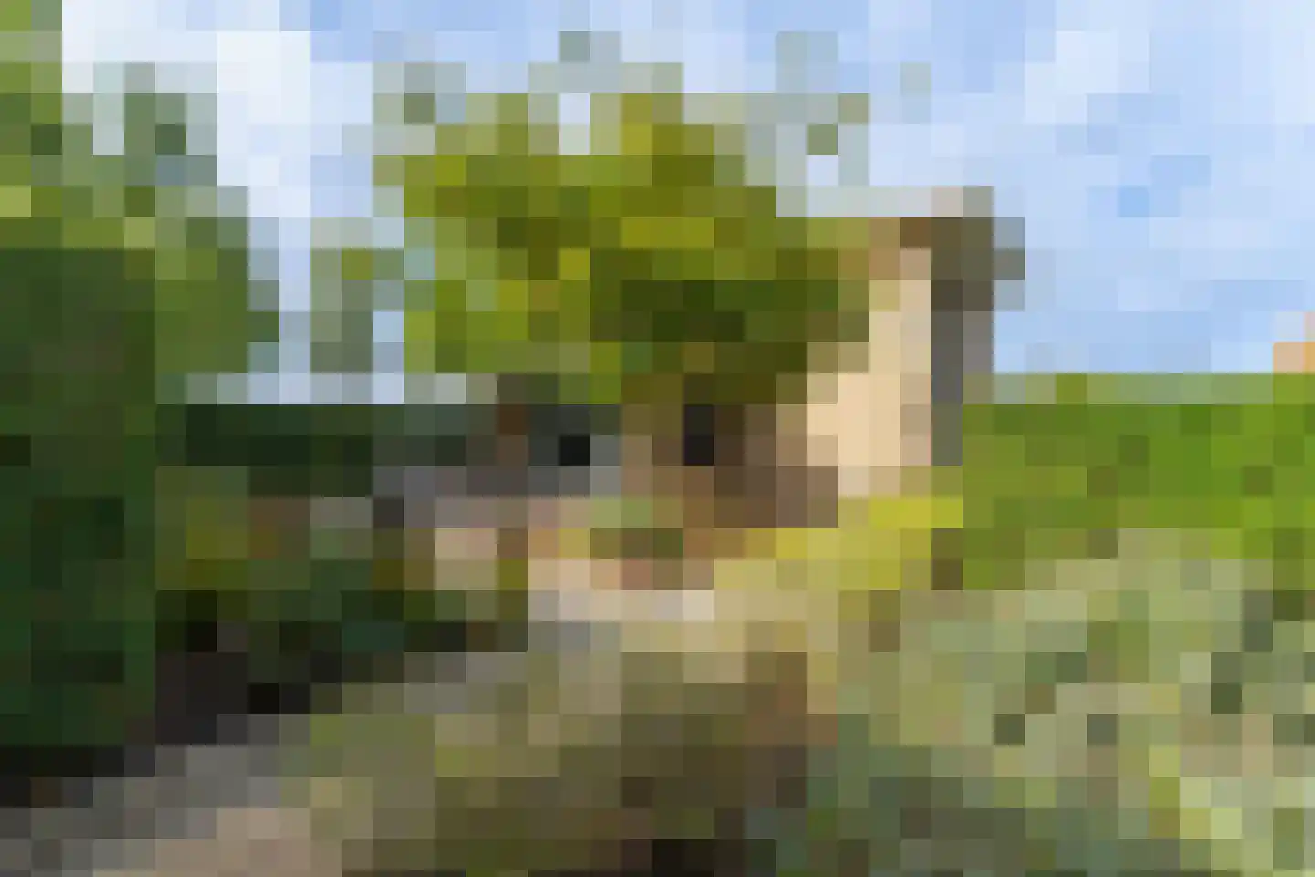 Steigerschuit 33 Breskens thumbnail 49
