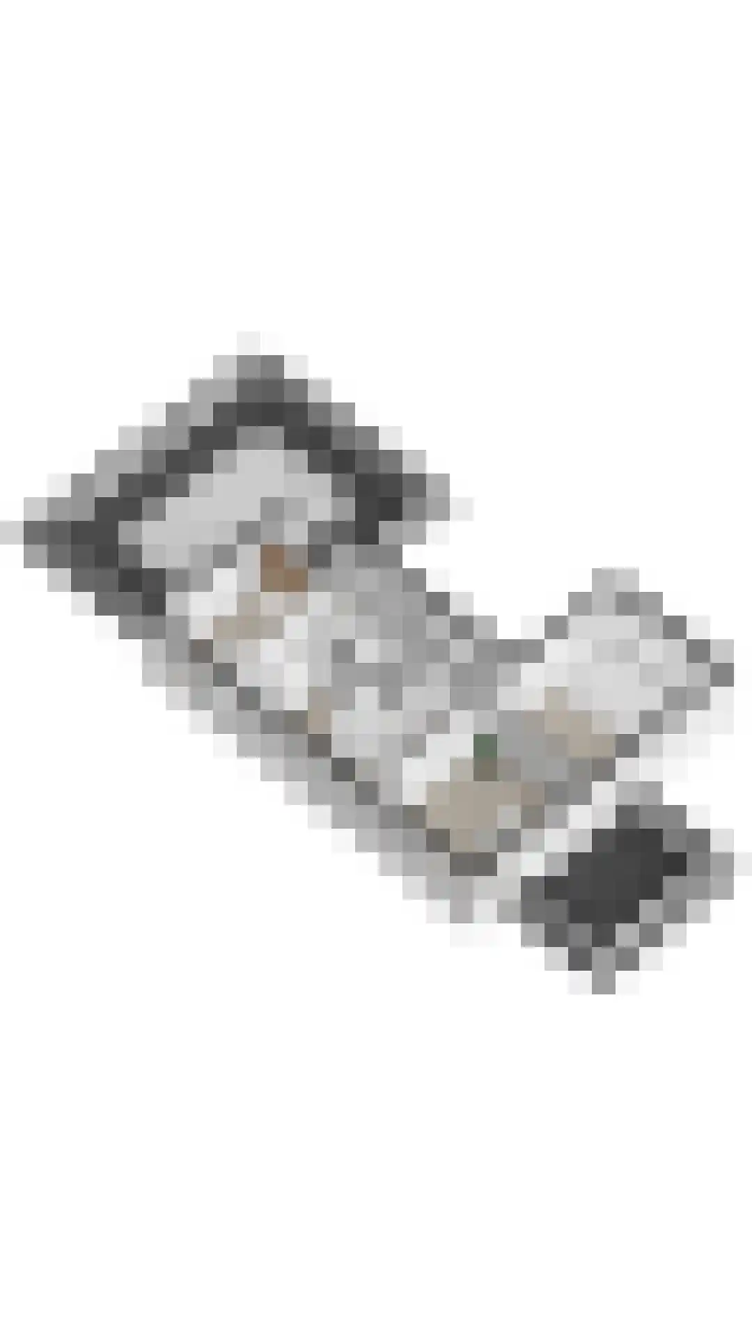 Steigerschuit 33 Breskens thumbnail 63