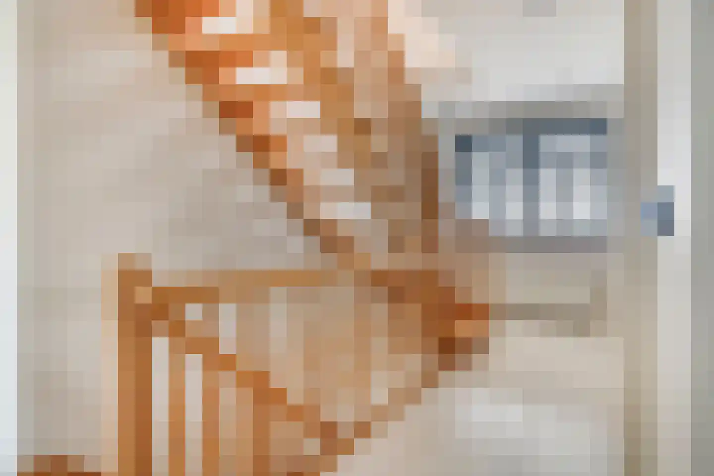 Steigerschuit 5 Breskens thumbnail 29